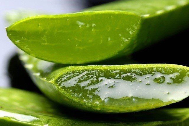 bienfaits aloe vera