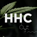 HHC : toutes les choses à savoir sur ce nouveau cannabinoïde