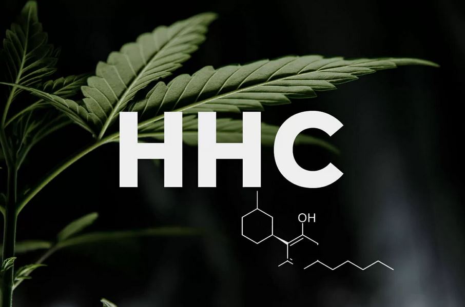 hcc-cannabis