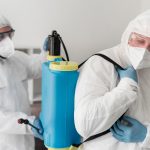 Extermination parasitaire dans le grand Montréal : prévention et solutions efficaces