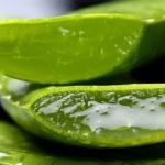 Les bienfaits et les propriétés curatives de l’aloe vera