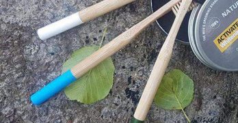 Les avantages de la brosse à dents en bambou
