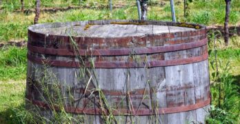 Guide : découvrez les spécificités du vin australien