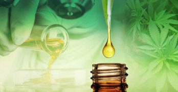 L’huile de CBD et ses bienfaits pour le corps