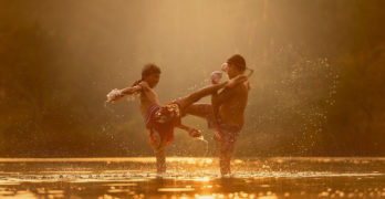 Comment choisir son short mma ?
