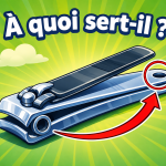 Le mystère du coupe-ongles : à quoi sert vraiment ce petit trou ?