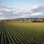 Document unique dans l’agriculture : pourquoi est-il essentiel ?