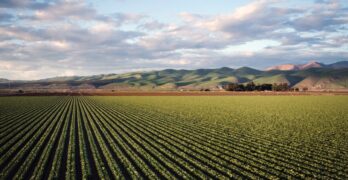 Document unique dans l’agriculture : pourquoi est-il essentiel ?