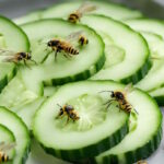 Comment se débarrasser des guêpes sans les tuer et avec du concombre ?