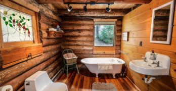 Vivre dans un chalet en bois : un mode de vie proche de la nature