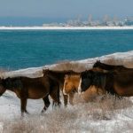 Mer Caspienne : Le plus grand lac du monde est plus vaste que le Japon