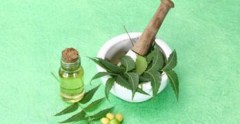 Huile de neem et savon de potassium, le meilleur pesticide naturel pour protéger vos plantes (et plus encore)