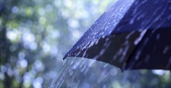 Choisir son parapluie pour homme