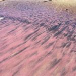Cette plage insolite au sable violet est unique