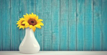 Floraqueen | Envoyer des fleurs, c’est bon pour la santé