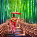 Préparer un voyage au Japon : guide et conseils pour des vacances inoubliables