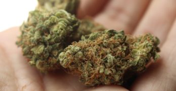 Le CBD un médicament contre l’anxiété qui tient ses promesses